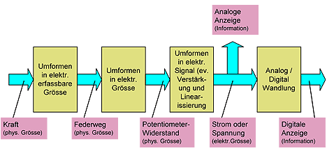 Signale und Information